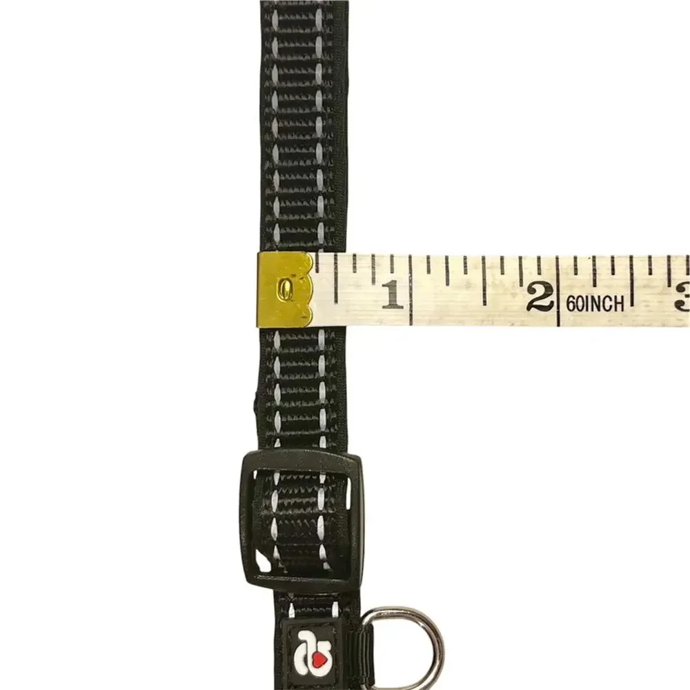 Small Dog Collar with Airtag Holder